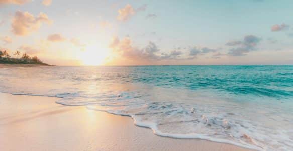 EVOM PROPERTY VOUS SOUHAITE UN BEL ÉTÉ