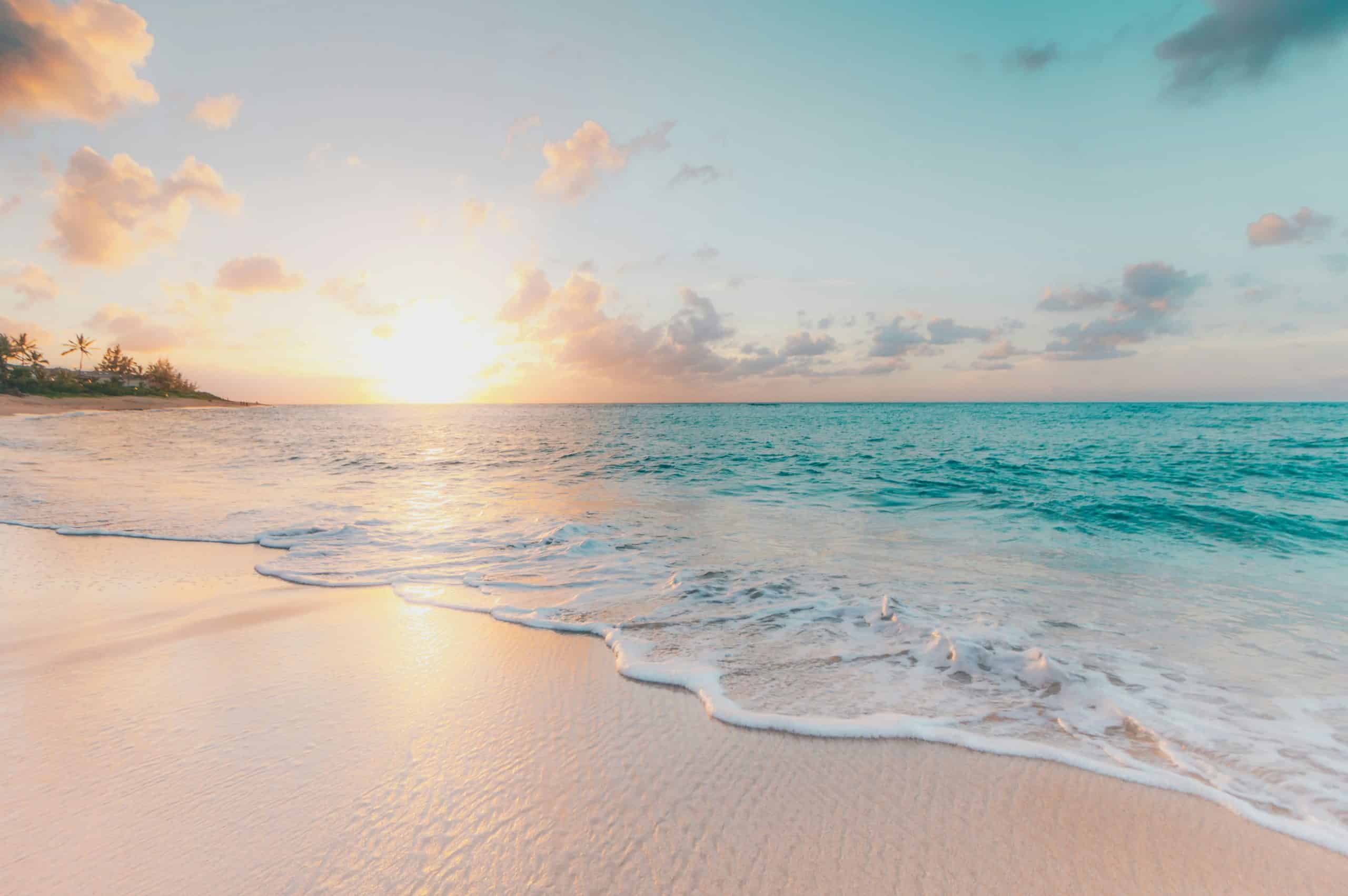 EVOM PROPERTY VOUS SOUHAITE UN BEL ÉTÉ